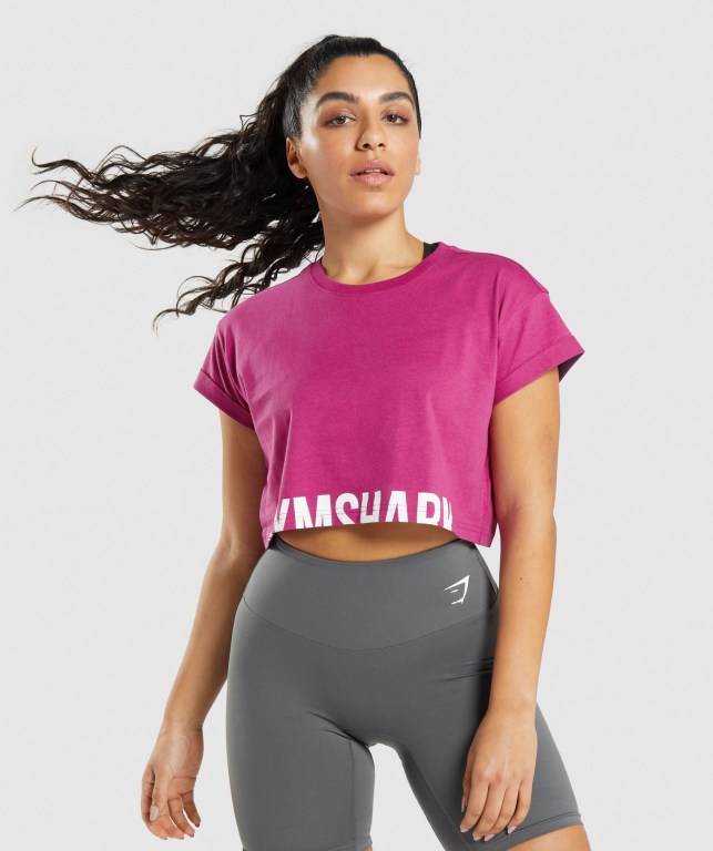 Sudaderas Gymshark Fraction Crop Top Mujer Rosas | Cppf3tEfqEG